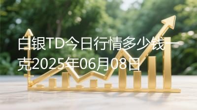 白银TD今日行情多少钱一克2025年06月08日