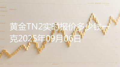 黄金TN2实时报价多少钱一克2025年09月06日