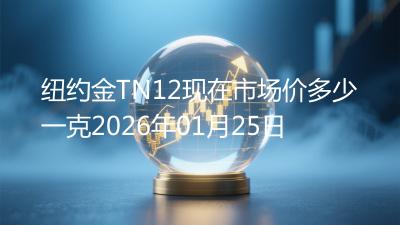 纽约金TN12现在市场价多少一克2026年01月25日