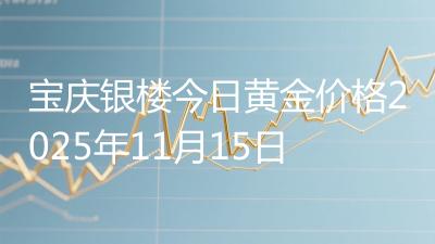 宝庆银楼今日黄金价格2025年11月15日