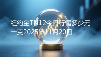 纽约金TN12今日行情多少元一克2025年11月20日