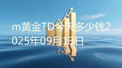 m黄金TD今天多少钱2025年09月13日