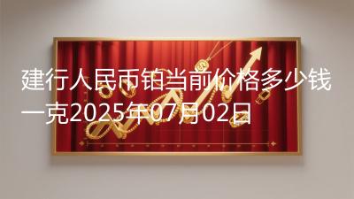 建行人民币铂当前价格多少钱一克2025年07月02日