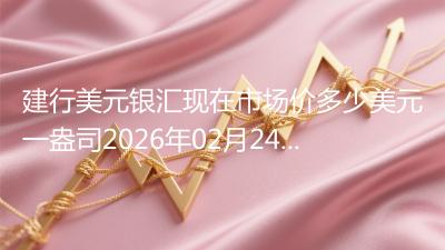 建行美元银汇现在市场价多少美元一盎司2026年02月24日