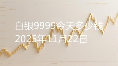 白银9999今天多少钱2025年11月22日