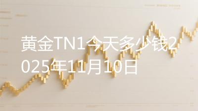 黄金TN1今天多少钱2025年11月10日
