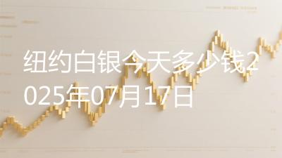 纽约白银今天多少钱2025年07月17日