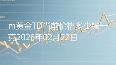 m黄金TD当前价格多少钱一克2026年02月22日