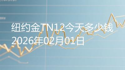 纽约金TN12今天多少钱2026年02月01日