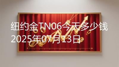 纽约金TN06今天多少钱2025年07月13日