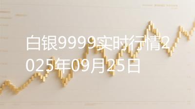 白银9999实时行情2025年09月25日
