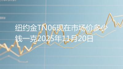 纽约金TN06现在市场价多少钱一克2025年11月20日