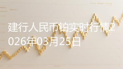 建行人民币铂实时行情2026年03月25日