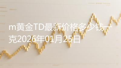 m黄金TD最新价格多少钱一克2026年01月25日