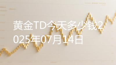黄金TD今天多少钱2025年07月14日