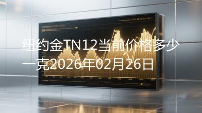 纽约金TN12当前价格多少一克2026年02月26日
