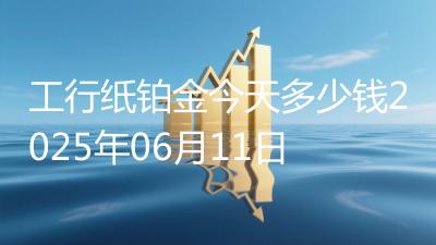 工行纸铂金今天多少钱2025年06月11日
