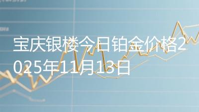 宝庆银楼今日铂金价格2025年11月13日