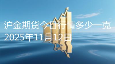 沪金期货今日行情多少一克2025年11月12日