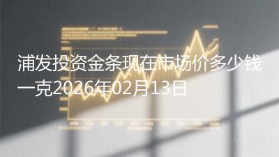 浦发投资金条现在市场价多少钱一克2026年02月13日