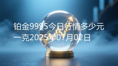 铂金9995今日行情多少元一克2025年07月02日