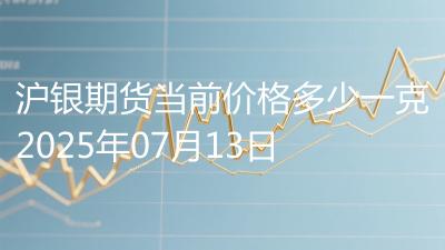 沪银期货当前价格多少一克2025年07月13日