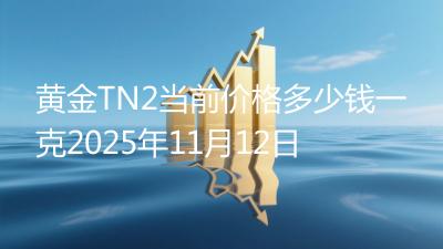 黄金TN2当前价格多少钱一克2025年11月12日