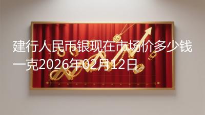 建行人民币银现在市场价多少钱一克2026年02月12日