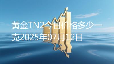 黄金TN2今日价格多少一克2025年07月12日