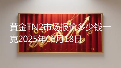 黄金TN2市场报价多少钱一克2025年06月18日