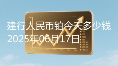建行人民币铂今天多少钱2025年06月17日