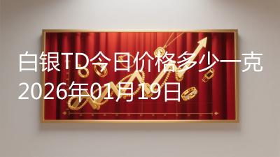 白银TD今日价格多少一克2026年01月19日