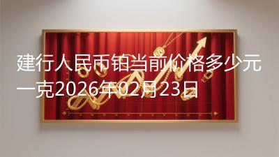 建行人民币铂当前价格多少元一克2026年02月23日