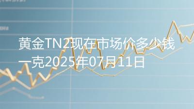 黄金TN2现在市场价多少钱一克2025年07月11日