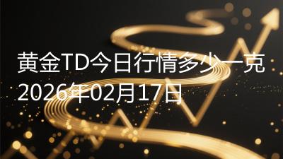 黄金TD今日行情多少一克2026年02月17日