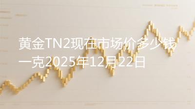 黄金TN2现在市场价多少钱一克2025年12月22日