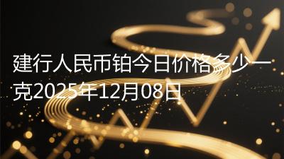 建行人民币铂今日价格多少一克2025年12月08日