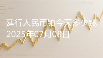 建行人民币铂今天多少钱2025年07月08日