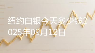 纽约白银今天多少钱2025年09月12日