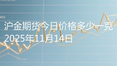 沪金期货今日价格多少一克2025年11月14日