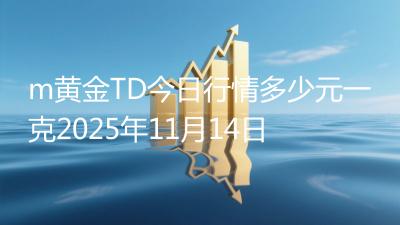 m黄金TD今日行情多少元一克2025年11月14日