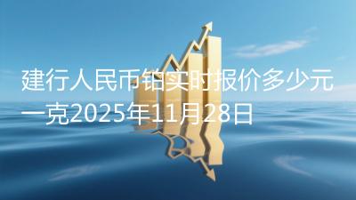 建行人民币铂实时报价多少元一克2025年11月28日