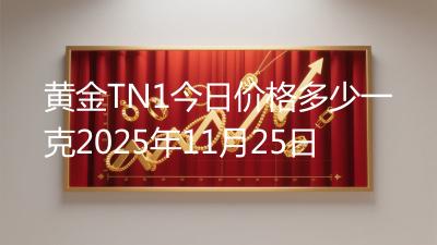 黄金TN1今日价格多少一克2025年11月25日