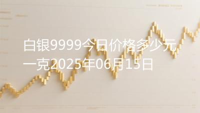 白银9999今日价格多少元一克2025年06月15日