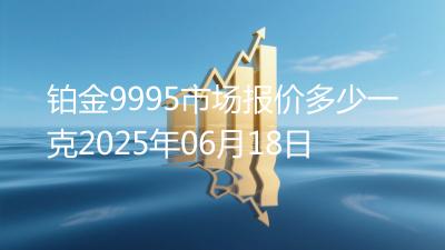 铂金9995市场报价多少一克2025年06月18日