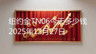 纽约金TN06今天多少钱2025年12月27日