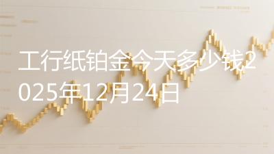 工行纸铂金今天多少钱2025年12月24日
