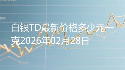白银TD最新价格多少元一克2026年02月28日