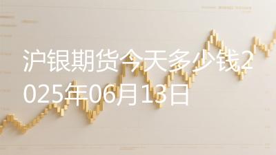 沪银期货今天多少钱2025年06月13日